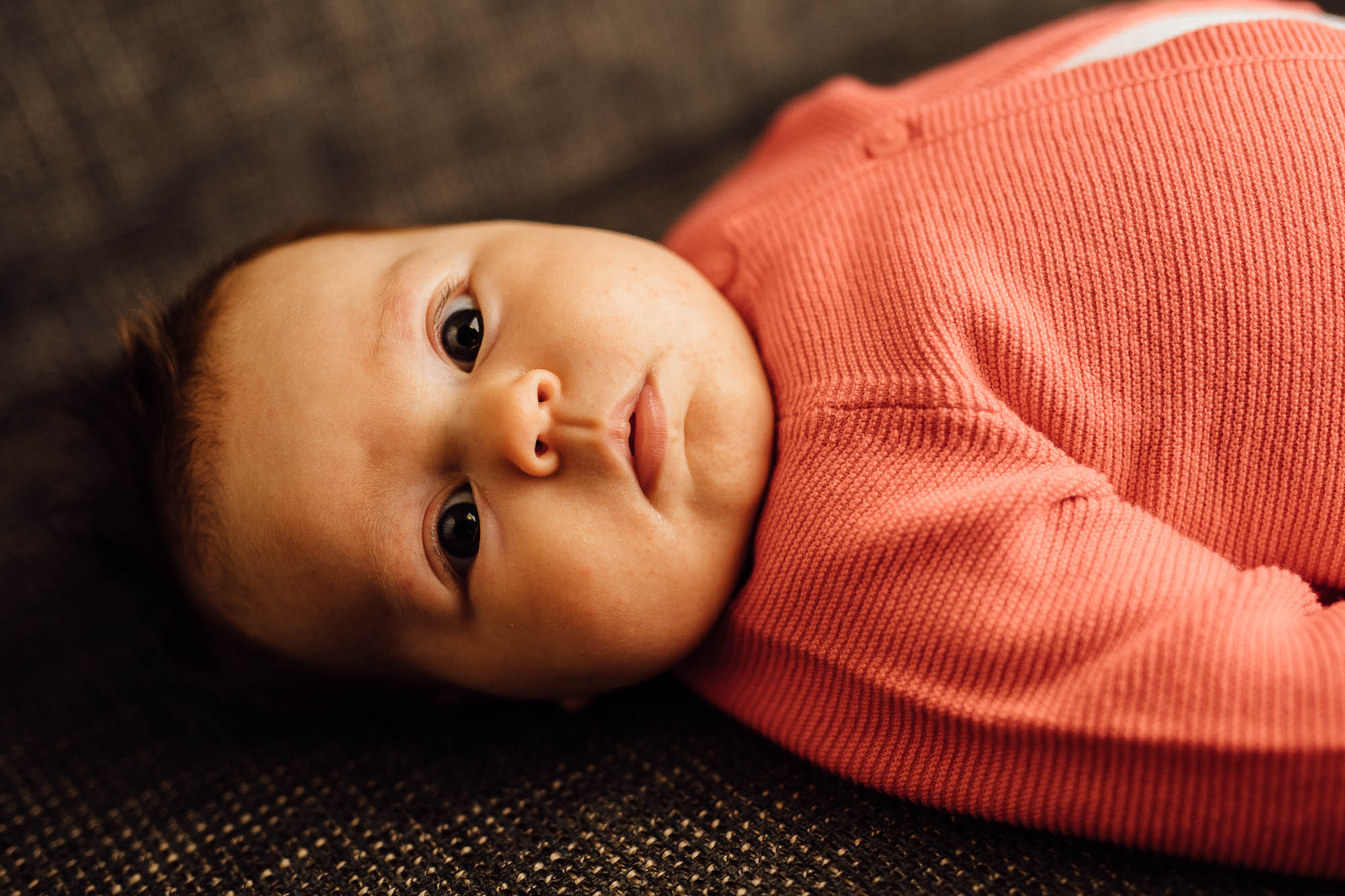 Export x3 5D4 0428 Familyfotoshooting 2020 Rossbach